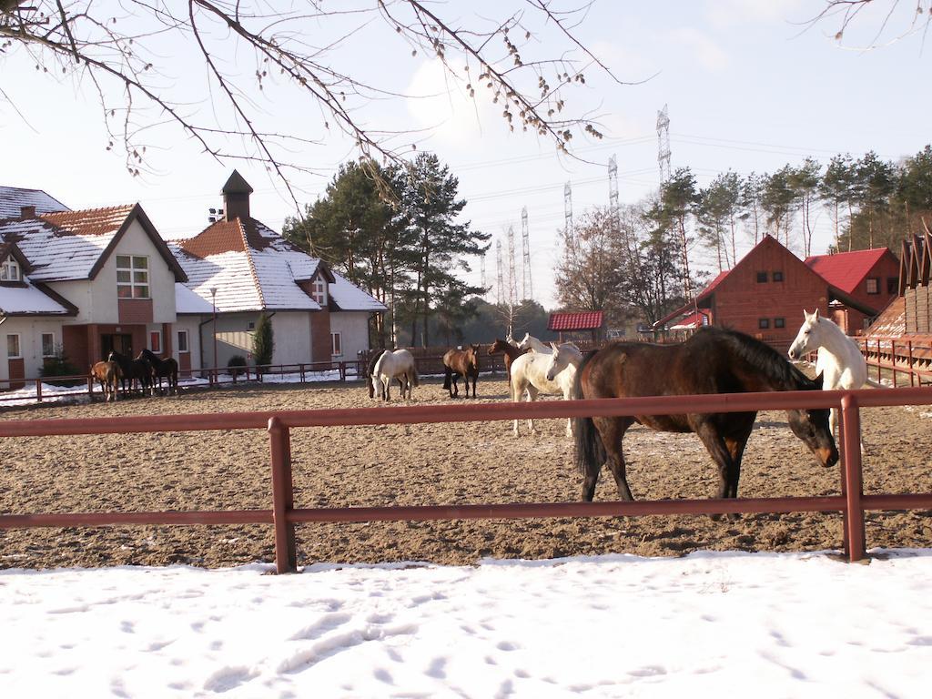 Wawrzkowizna Rząsawa Exterior foto