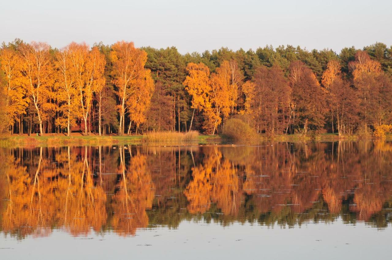 Wawrzkowizna Rząsawa Exterior foto